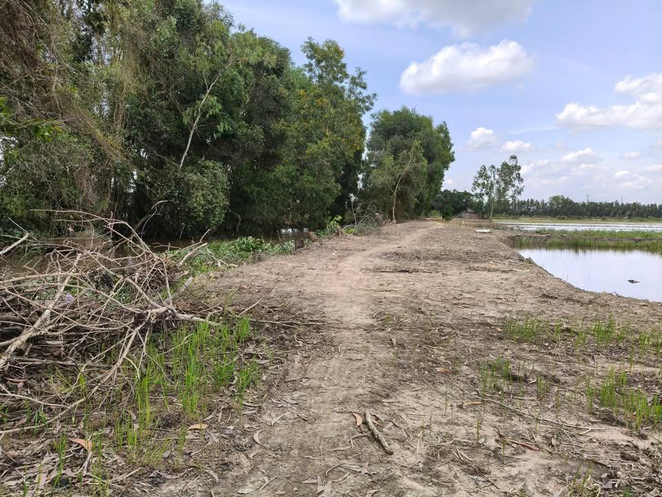 Đất nông nghiệp 8,3 công tại xã Phước Lập, huyện Tân Phước - Giá chỉ 1.577 tỷ