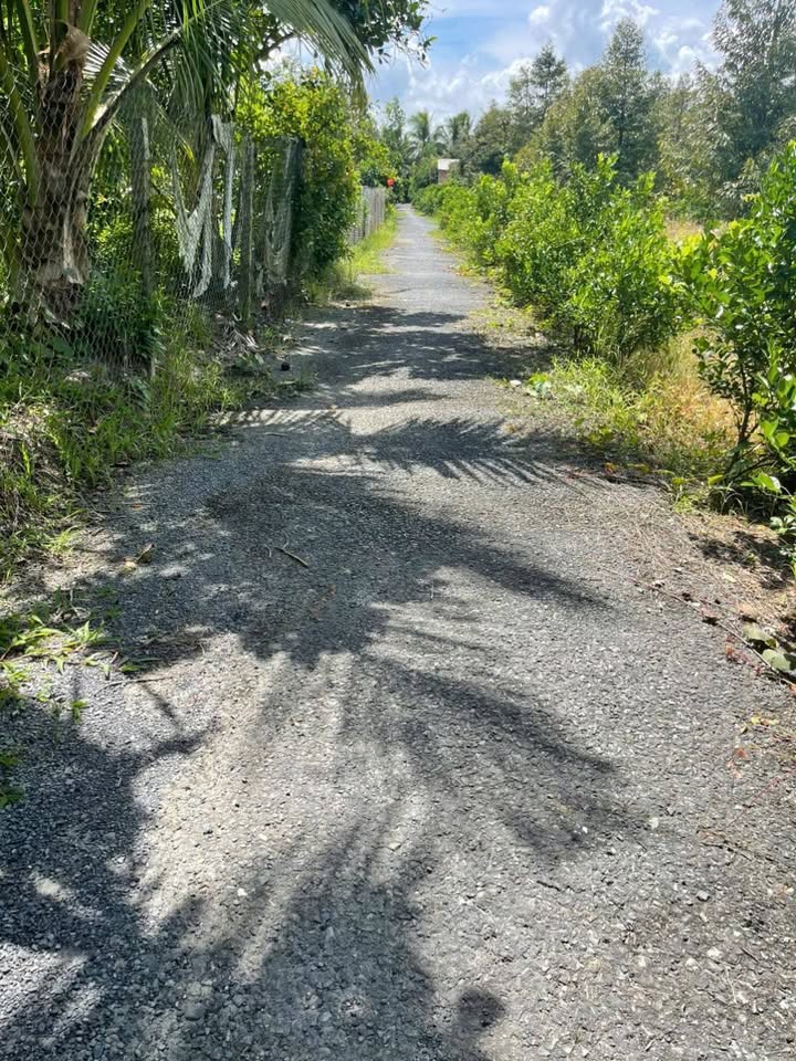 Đất vườn 13 công tại xã Long Khánh, Cai Lậy - Giá chỉ 850 triệu!