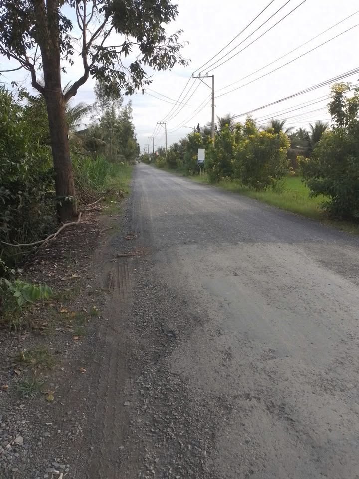 Nhà vườn nghỉ dưỡng 1.602m² tại Thạnh Nhựt, Gò Công Tây, chỉ 4 tỷ - Không gian yên tĩnh lý tưởng!