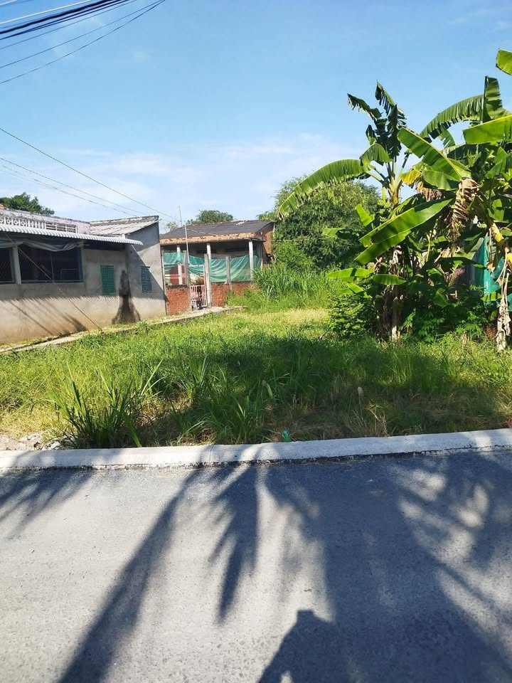 Đất nền mặt tiền Lâm Vồ, xã An Bình Tây, 258m² giá 800 triệu - Đầu tư sinh lời!