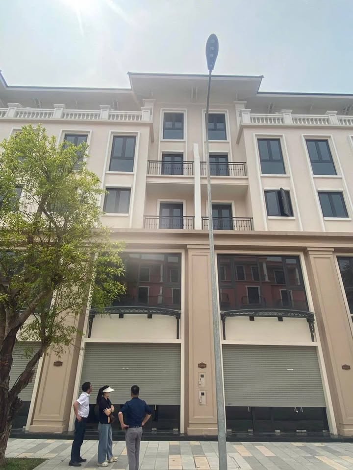 Shophouse Đại lộ Hừng Đông, Văn Giang 75m² giá 12.9 tỷ - Đầu tư sinh lời ngay!