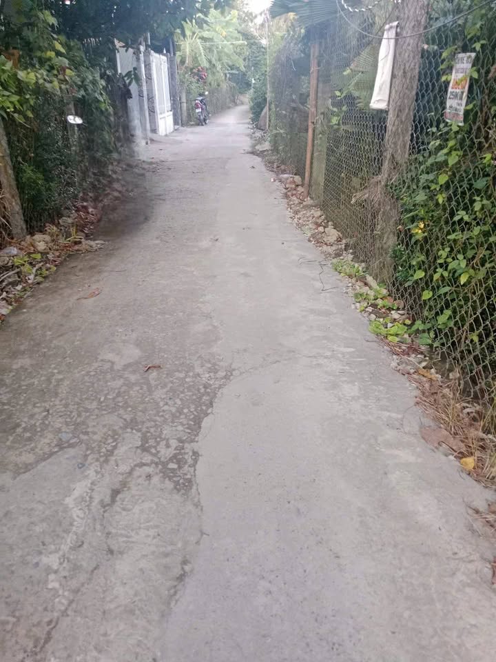 Nhà cấp 4 mặt tiền đường Nguyễn Thái Học, Cái Bè 115m² giá 1.6 tỷ - Cơ hội đầu tư hấp dẫn!