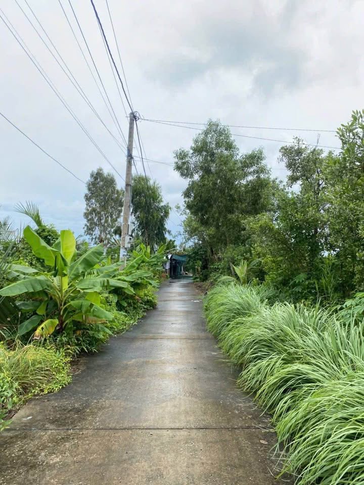 Đất nền Khóm 5, phường Tân Xuyên, Cà Mau 532m² - Giá tốt chính chủ!