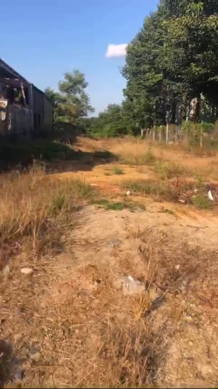 Đất mặt tiền đường 784, Chà Là, Dương Minh Châu 1392m² - Cơ hội đầu tư tuyệt vời!