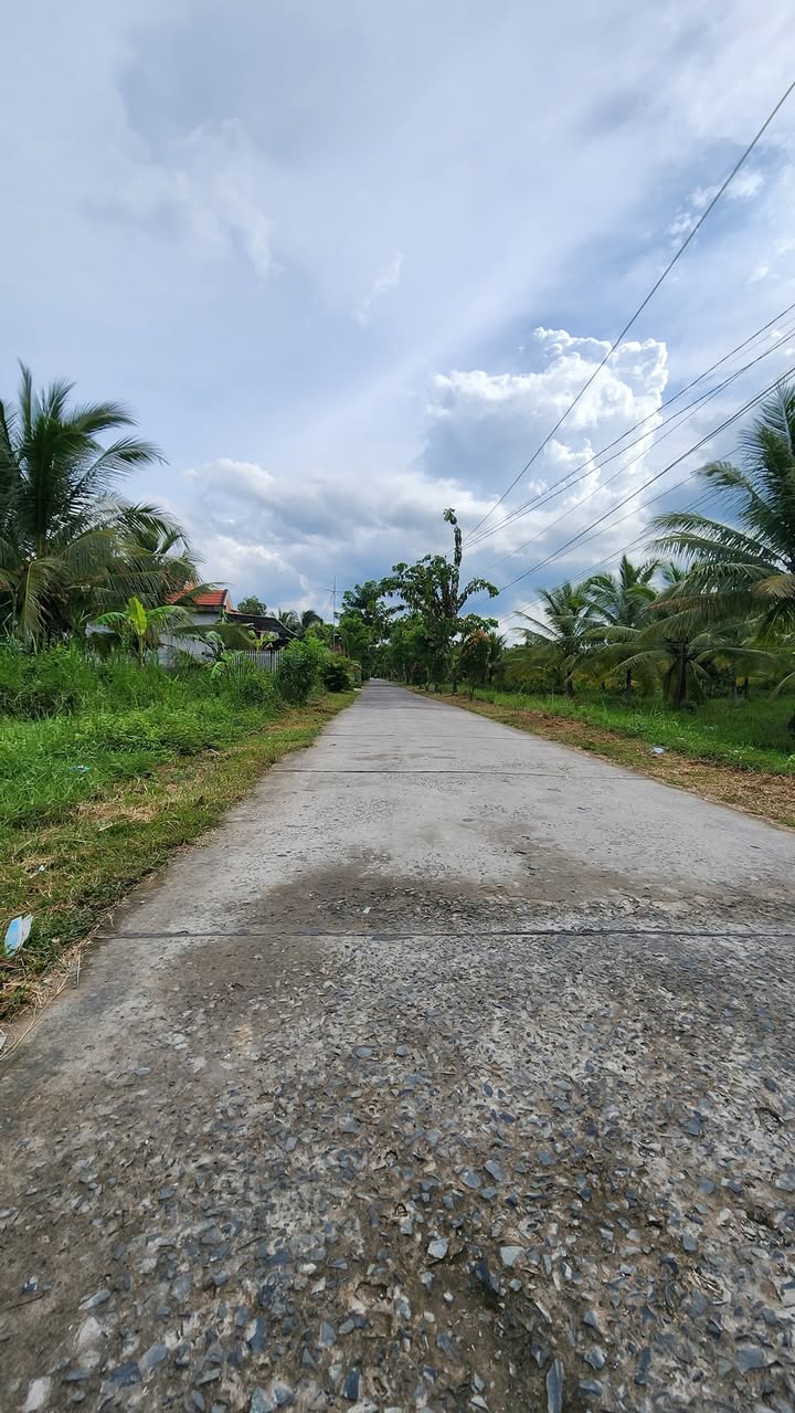 Bán đất Tân Thành Bình, Mỏ Cày Bắc, Bến Tre 300m² - Giá chỉ 1.006 tỷ!