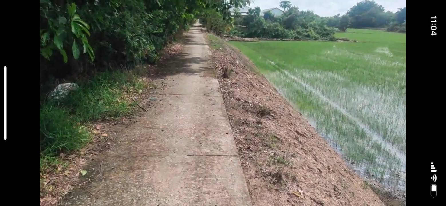 Đất nền xã Bắc Hoà, Tân Thạnh, Long An 8610m² chỉ 2.5 tỷ - Cơ hội đầu tư hấp dẫn!