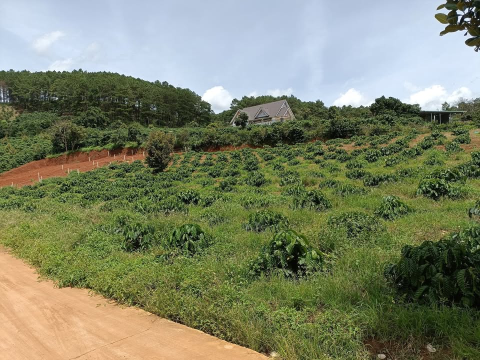 Đất Mê Linh 3400m² giá 9 tỷ - Tiềm năng đầu tư nghỉ dưỡng tuyệt vời!