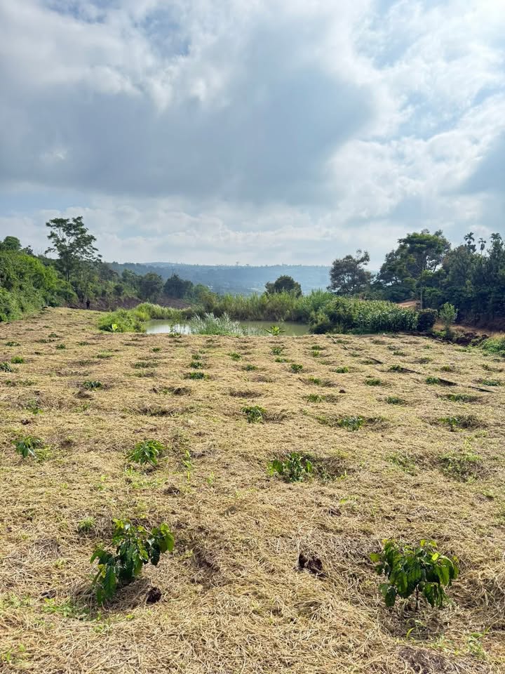 Đất nền Đan Phượng 2200m² giá 570 triệu - Điện nước đầy đủ, sổ hồng chính chủ!