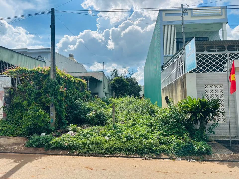 Đất mặt tiền Nguyễn Hữu Thọ, phường Hội Phú, Gia Lai 231m² giá 2.52 tỷ - Đầu tư sinh lời lý tưởng!