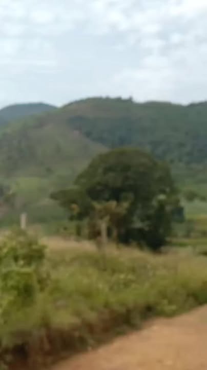 Farm 47ha tại Cư Prông, Ea Kar - Giá chỉ 3 tỷ, đầu tư sinh lời!