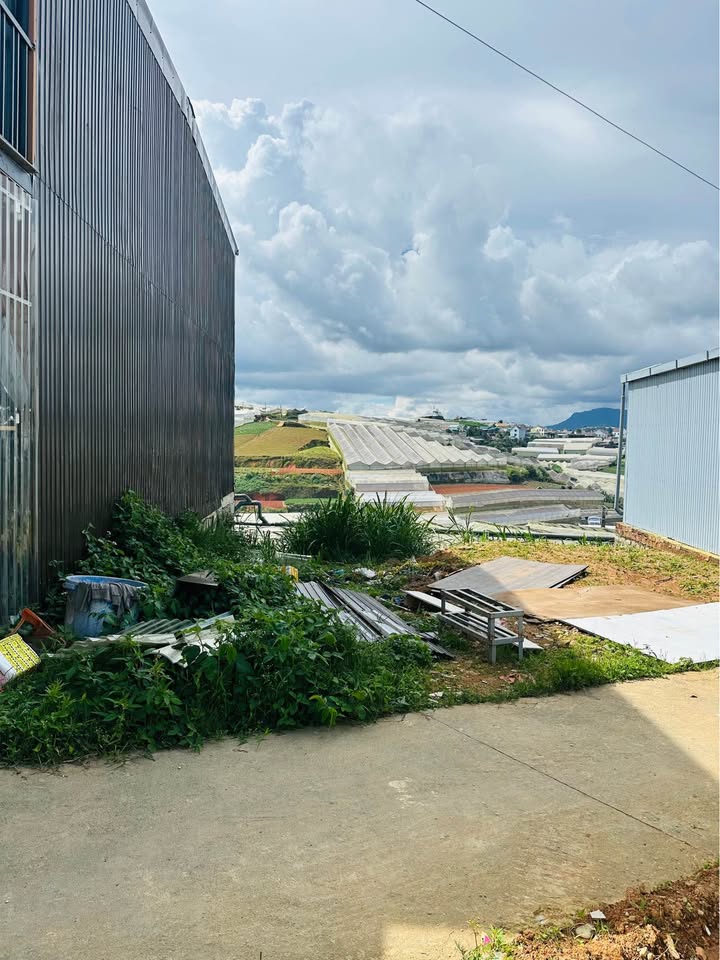 Đất nền đẹp đường Tô Vĩnh Diện, phường 6 Đà Lạt, 54m² - Giá chỉ 820 triệu!