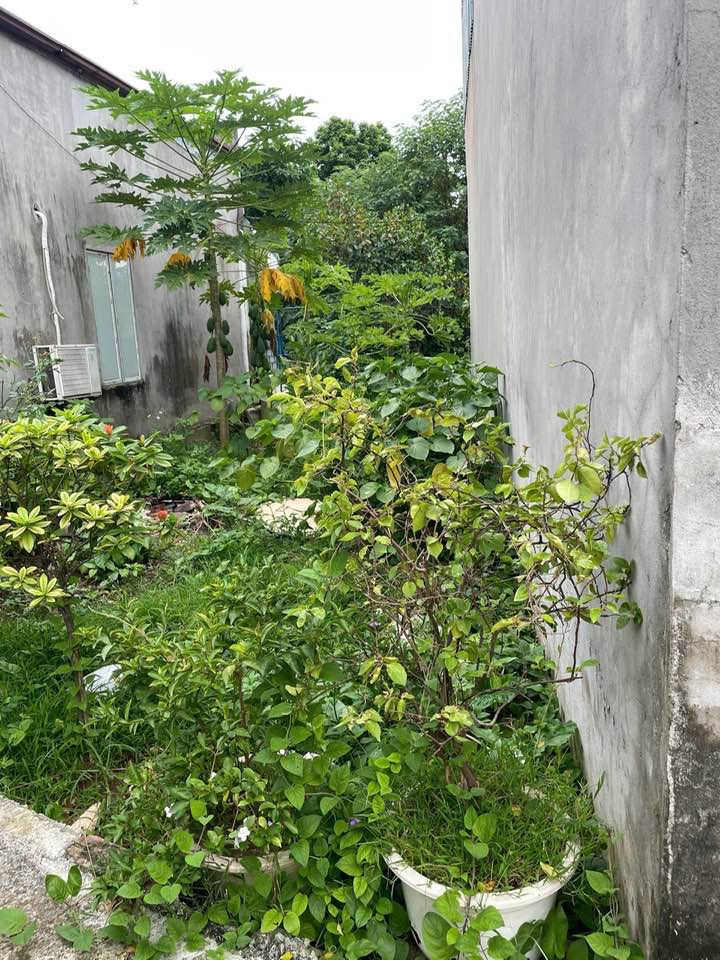 Đất Xã Đặng Xá, Gia Lâm 40m² giá 3.1 tỷ - Vị trí đẹp, pháp lý chuẩn