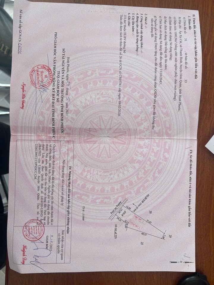 Đất nền Thanh Bình Bàu Bàng 3600m² giá 480 triệu - Đầu tư sinh lời ngay!