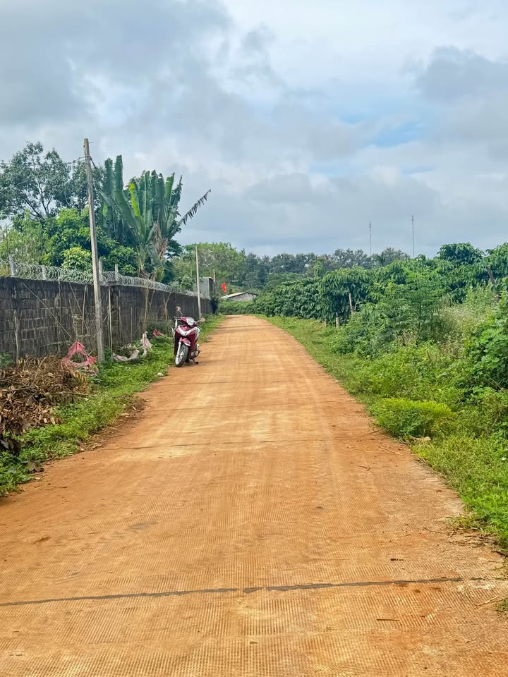 Đất nền An Phú Đăk Đoa 235m² giá thỏa thuận - Đầu tư sinh lời ngay!