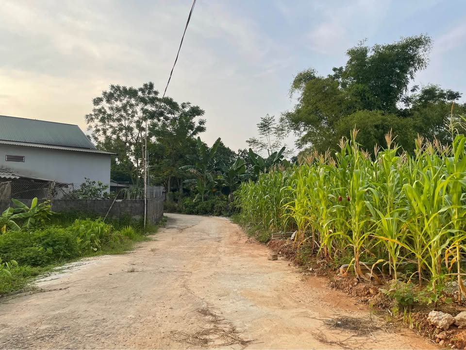 Đất thổ cư 120m² tại tổ 17 An Tường - Giá chỉ 1.1 tỷ, thương lượng tốt!