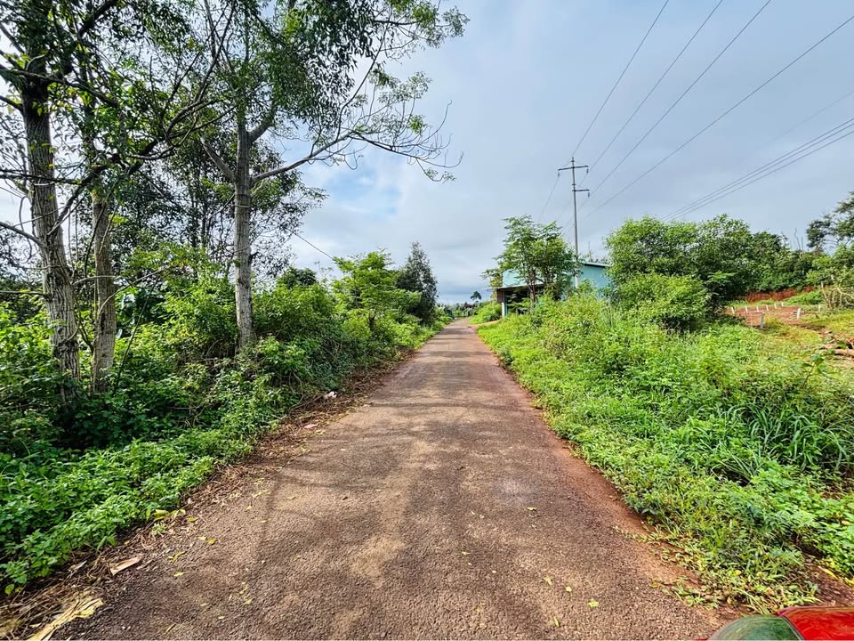 Đất nông nghiệp Pleiku 960m² giá 2 tỷ - Tiềm năng phát triển!