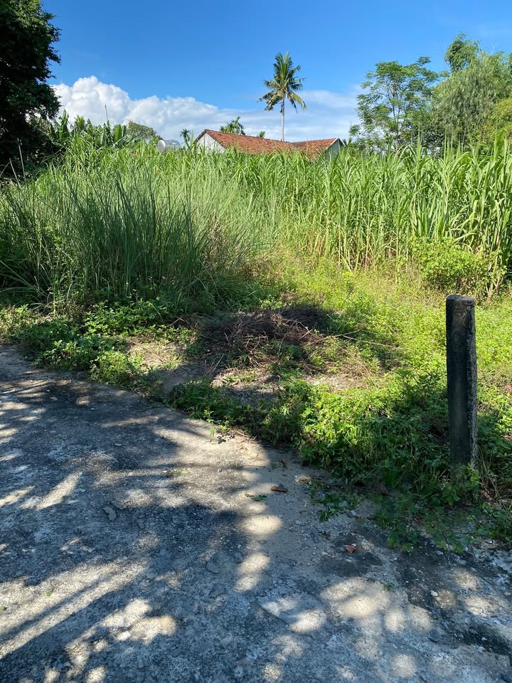 Đất nền Quảng Phú 87m² - Cơ hội đầu tư sinh lời hấp dẫn!