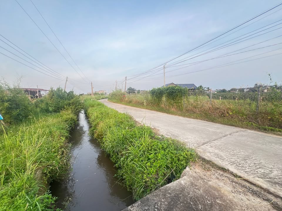 Bán đất vườn mặt tiền kênh xã Hàm Mỹ 4111m² giá 8 tỷ - Đầu tư sinh lời hấp dẫn!