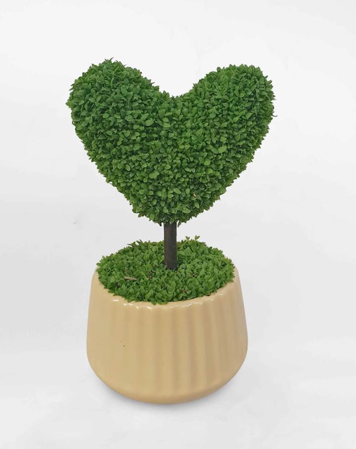 Nhà 2 tầng đường Nguyễn Trung Trực Buôn Ma Thuột 62,5m² giá 2,6 tỷ - Sổ đỏ đầy đủ, nội thất đầy đủ!