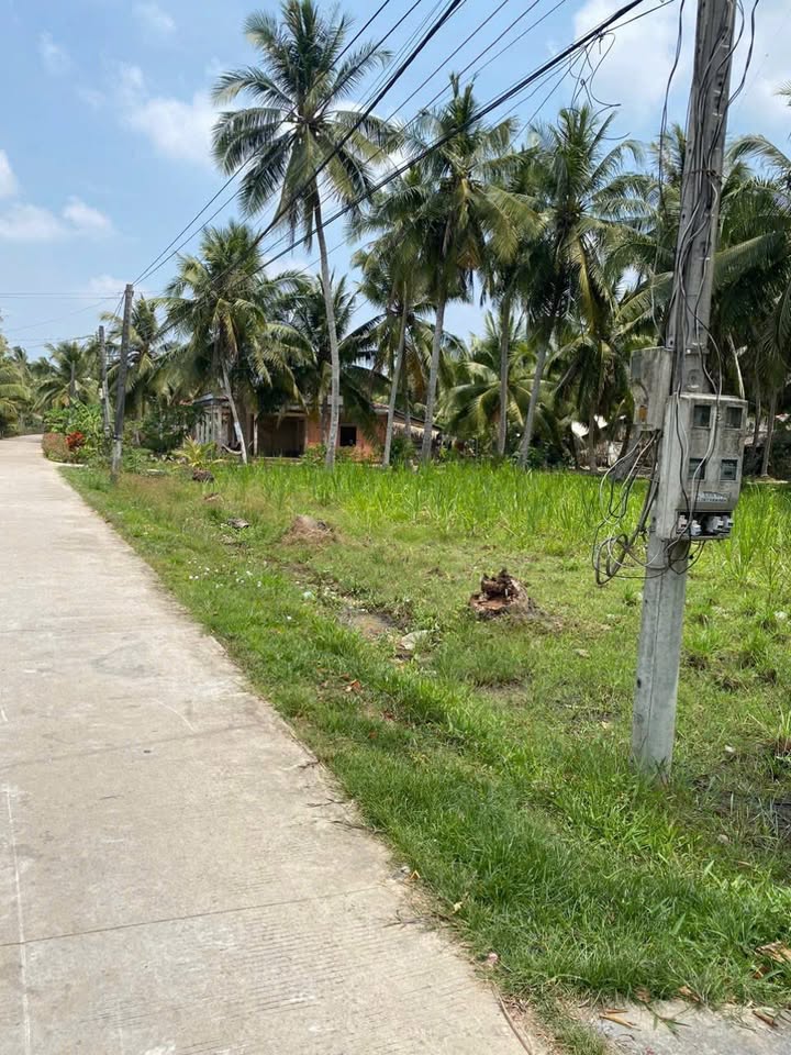 Đất thổ cư ấp Tân Hòa B, huyện Mỏ Cày Nam, Bến Tre 1716m² giá 1.7 tỷ - Mặt tiền đẹp, xe hơi vào tận nơi!