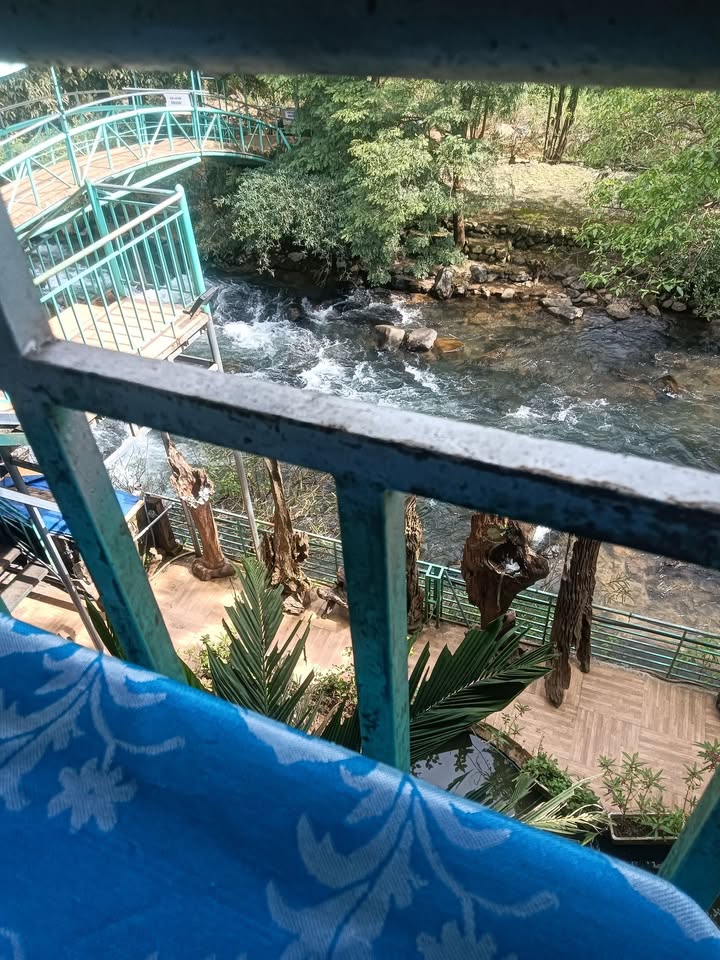 Nhà nguyên căn Đà Lạt 18 triệu - Kinh doanh tự do