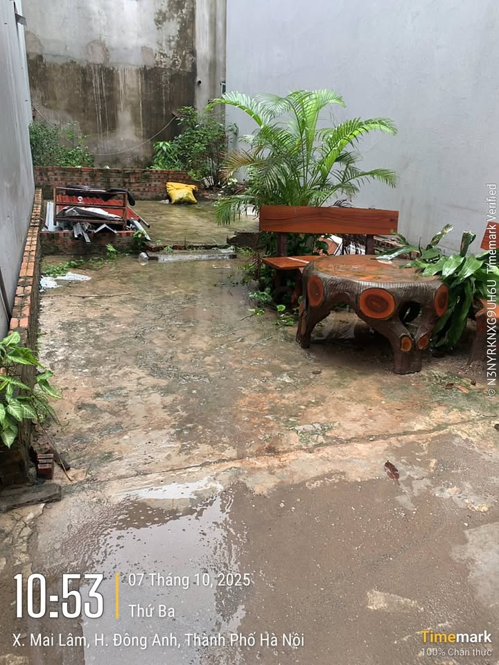 Đất thổ cư Lê Xá, Mai Lâm 43m² giá 4.95 tỷ - Sổ hồng chính chủ, thương lượng mạnh!