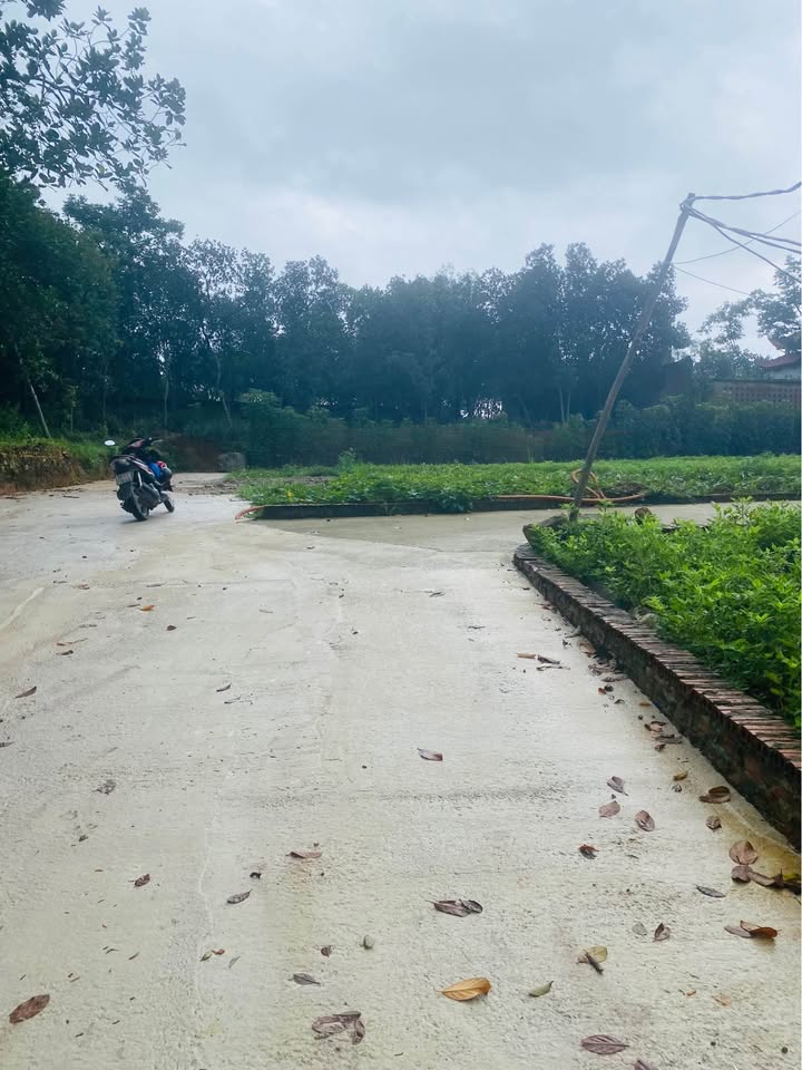 Đất lô góc Phật Tích, Tiên Du 90m² giá 1 tỷ - Cơ hội đầu tư hấp dẫn!