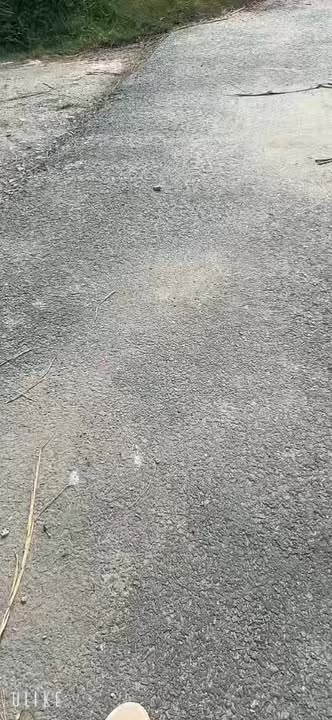 Nhà bán gấp tại xã Mỹ Hạnh, huyện Đức Hòa, 450m² - Giá chỉ 3.1 tỷ VND!