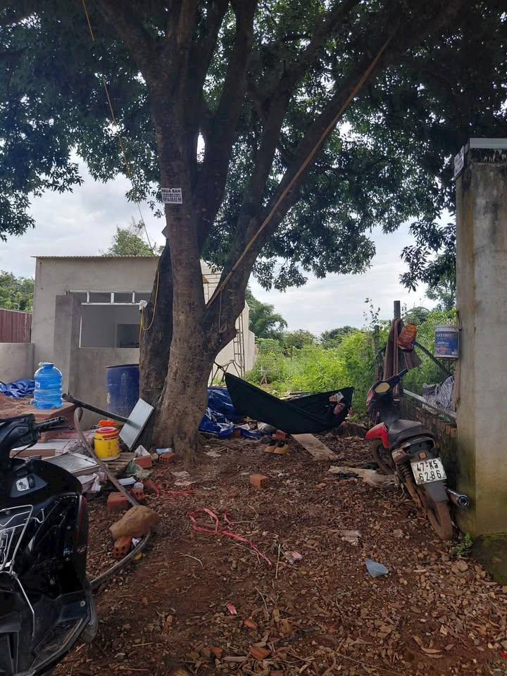 Bán đất Ea Kao Buôn Ma Thuột 1500m² giá 1.19 tỷ - Đầu tư sinh lời ngay!