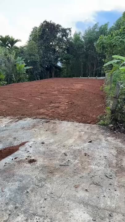 Lô đất chính chủ 413m² tại Thôn Điều Phong, Hòa Nhơn - Giá chỉ 2.05 tỷ!