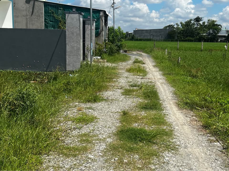 Đất thổ cư 120m² tại Mỹ Hạnh Nam giá chỉ 1.06 tỷ - Cơ hội đầu tư tuyệt vời!