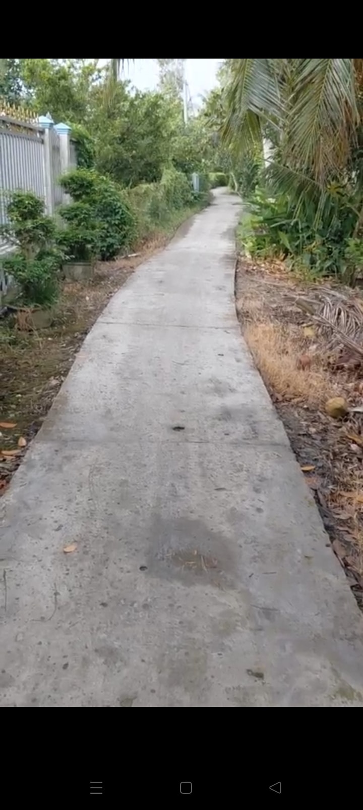 Đất vườn 3000m² tại ấp Mỹ Nghĩa 1, Cái Bè - Giá 700 triệu - Cơ hội đầu tư hấp dẫn!