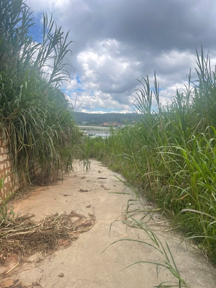 Đất nền Cao Thắng Đà Lạt 85m² giá 650 triệu - Sổ đỏ chính chủ, giao dịch nhanh!