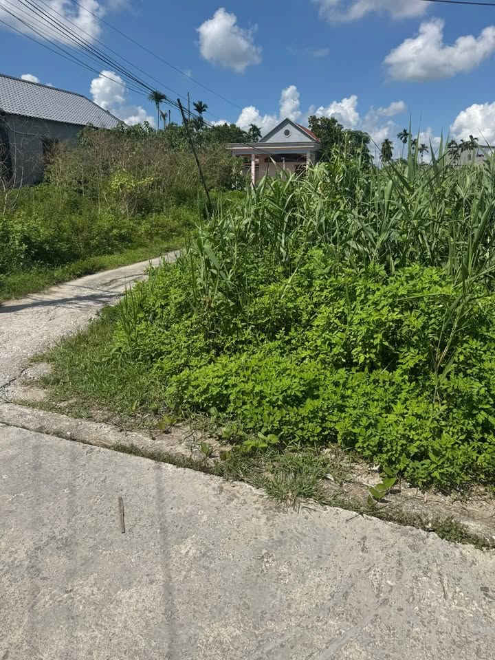 Đất nền nở hậu 73m² tại Hòa Nghĩa, Dương Kinh - Giá 1.2 tỷ, chính chủ!