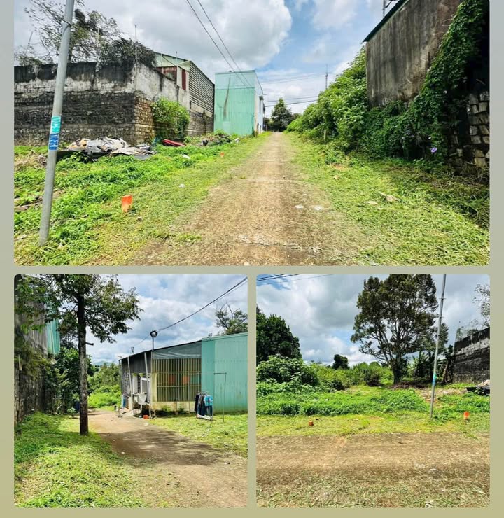 Đất ở Hẻm chính 310 Lê Thánh Tôn, Hội Phú, 110m² giá 800 triệu - Thương lượng ngay!