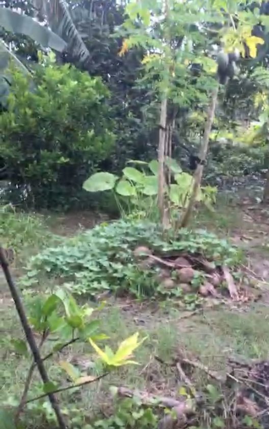 Đất nền Quốc lộ 1A Mỹ Thành Nam 162m² giá 1.05 tỷ - Cơ hội đầu tư hấp dẫn!