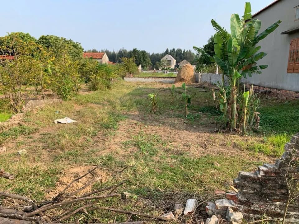 Đất thổ cư tại thôn Đông Hải, Đa Lộc, Hậu Lộc 300m² - Cơ hội đầu tư hấp dẫn!