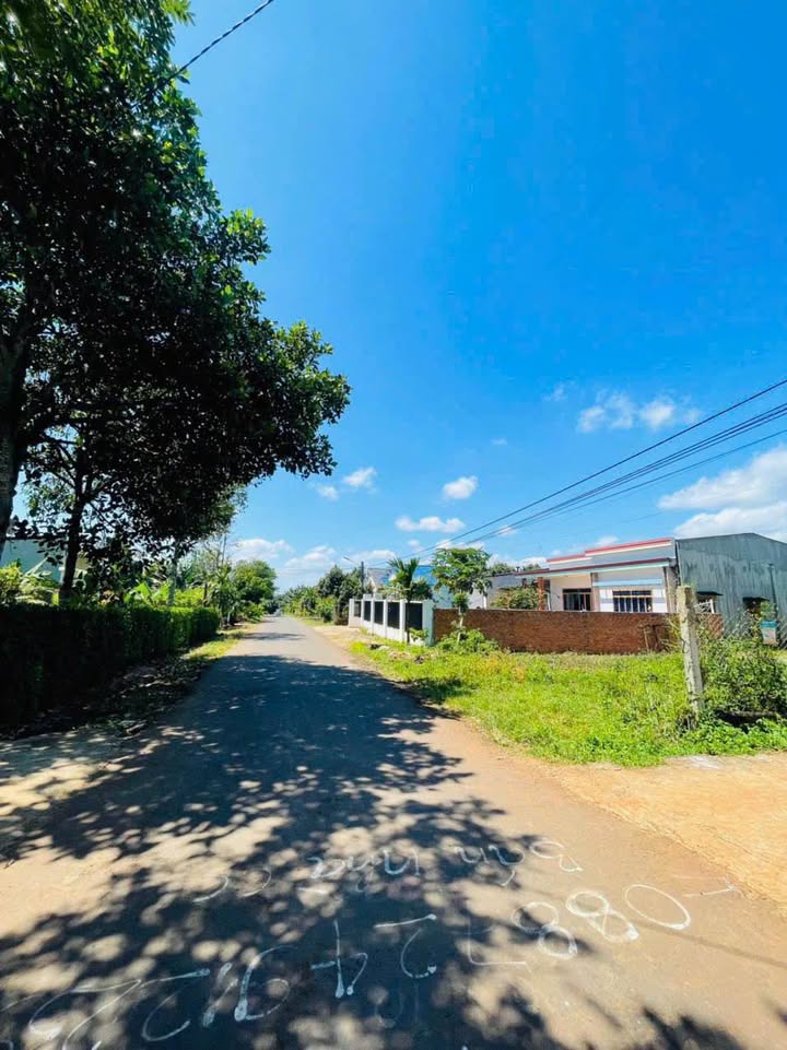 Đất mặt tiền Mậu Thân, Tân An, 117m² giá 1.55 tỷ - Đầu tư sinh lời ngay!