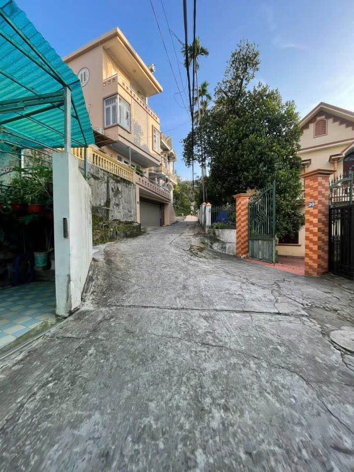 Đất nền Cẩm Thành 50m² giá chỉ 460 triệu - Cơ hội đầu tư tuyệt vời!