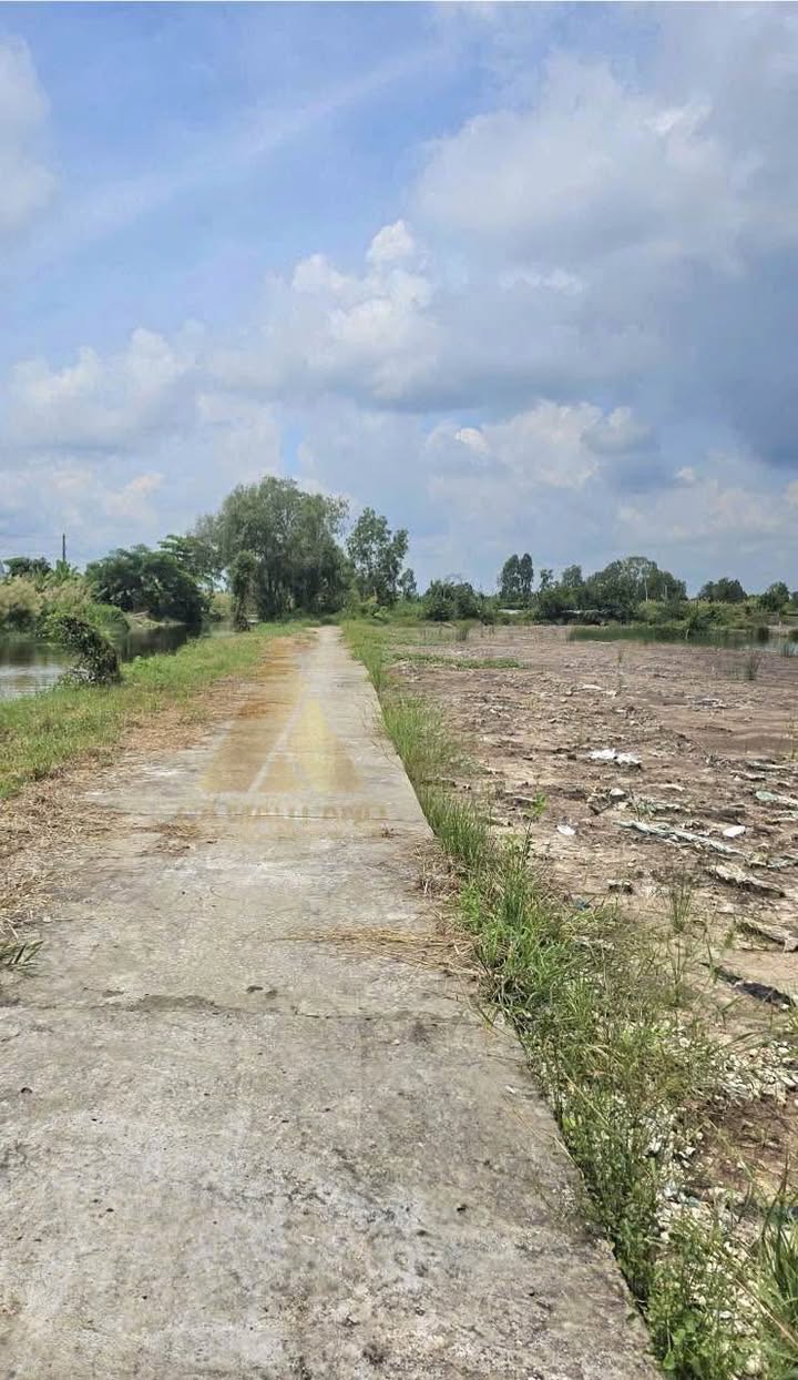 Đất nền phường 8 Cà Mau 300m² chỉ 400 triệu - Đầu tư sinh lời ngay!