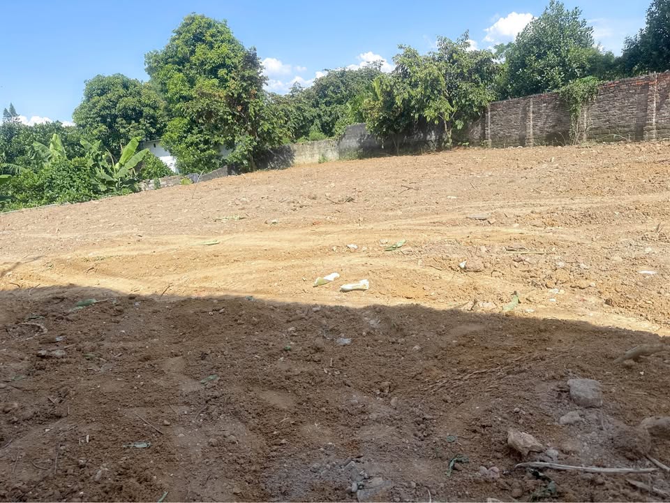 Nhà cho thuê tại Thanh Mỹ, Sơn Tây 1000m² - Sân vườn rộng thoáng mát!