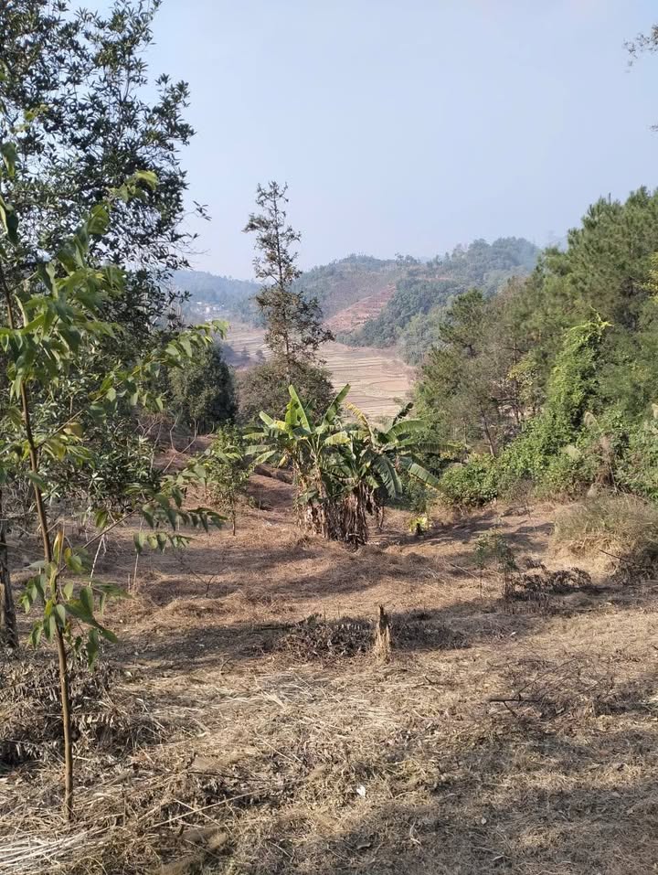 Đất khuôn viên mộ 100m² tại thôn Quán Hồ, Lạng Sơn - Phong thủy tốt, giá chỉ 200 triệu!