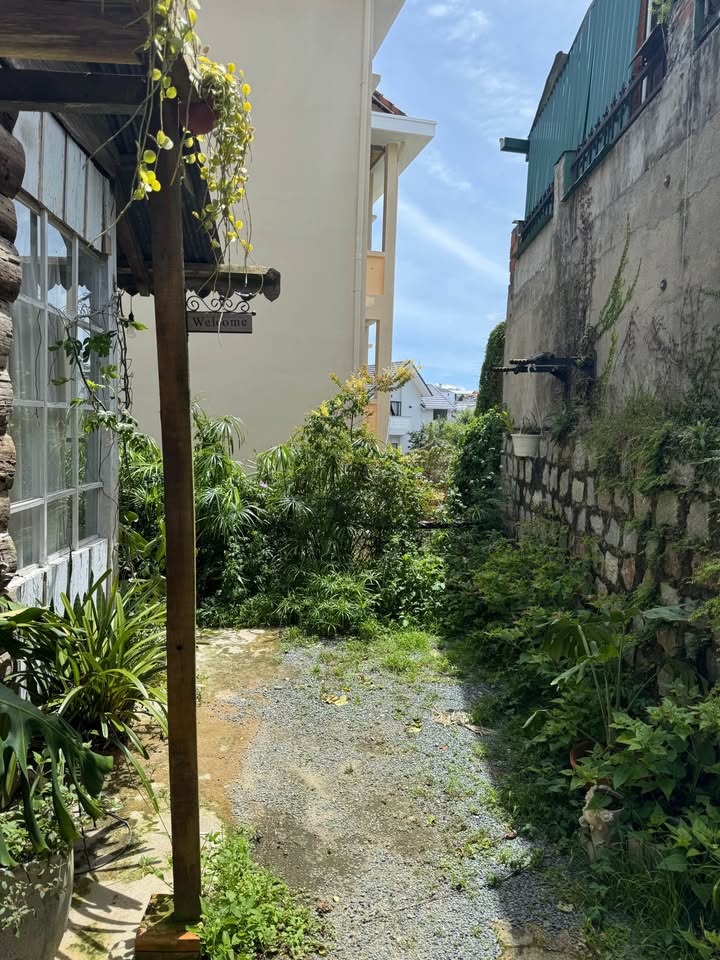 Homestay nhà gỗ Đà Lạt 5 phòng ngủ giá 4.4 triệu - Đầu tư sinh lời ổn định!