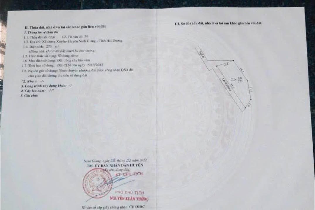 Đất nền 300m² tại xã Đông Xuyên, Ninh Giang - Giá chỉ 200 triệu!