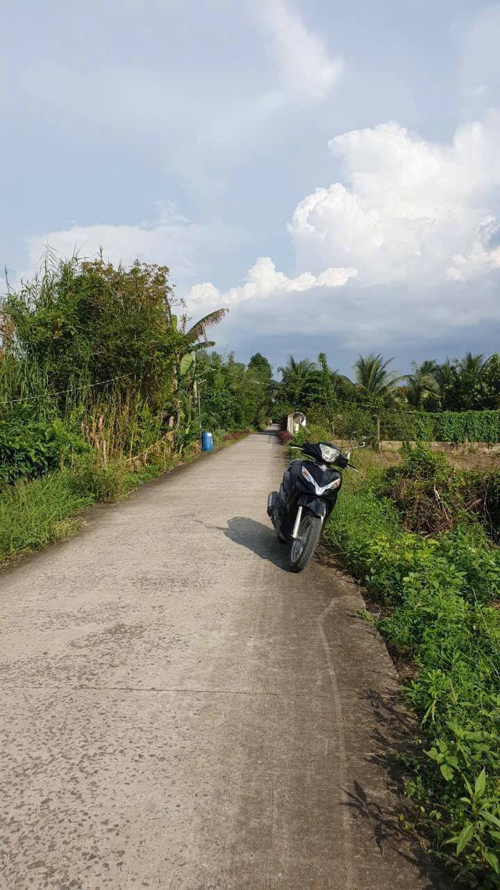 Đất nền Tân Hội 500m² giá 1.1 tỷ - Đường ô tô vào tận nơi!