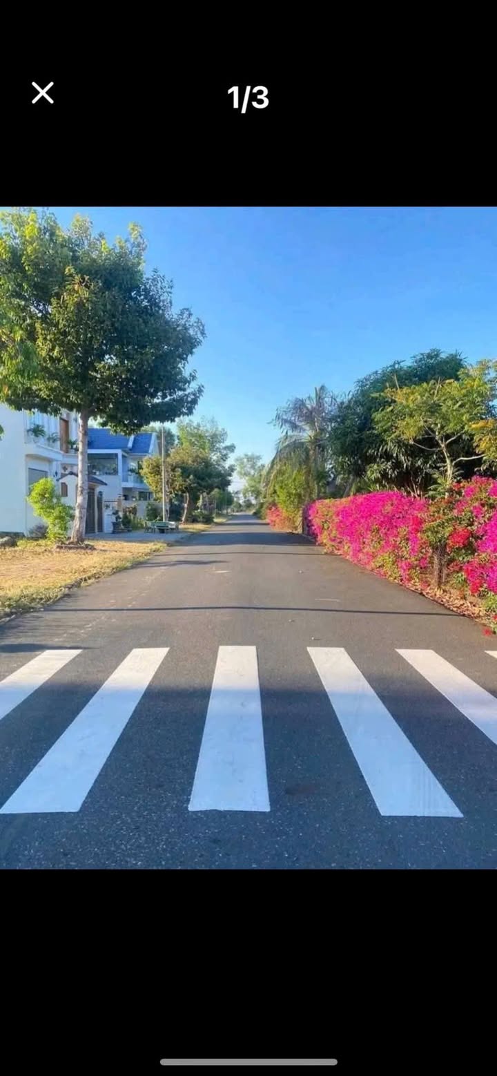 Biệt thự mặt tiền đường Phạm Văn Nghị, Phường Long Tâm 163.4m² - Sổ hồng riêng chính chủ!