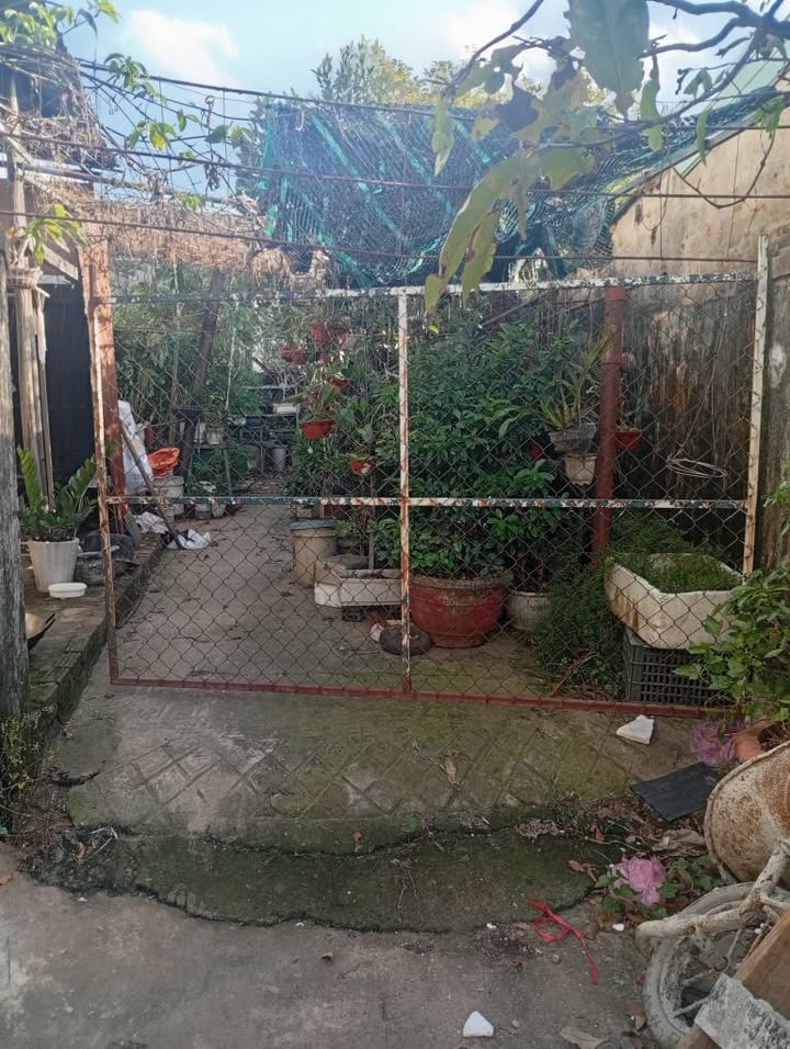 Đất nền kiệt 27 Nguyễn Huy Tưởng 104.5m² giá 3.32 tỷ - Vị trí đắc địa, cơ hội đầu tư hấp dẫn!