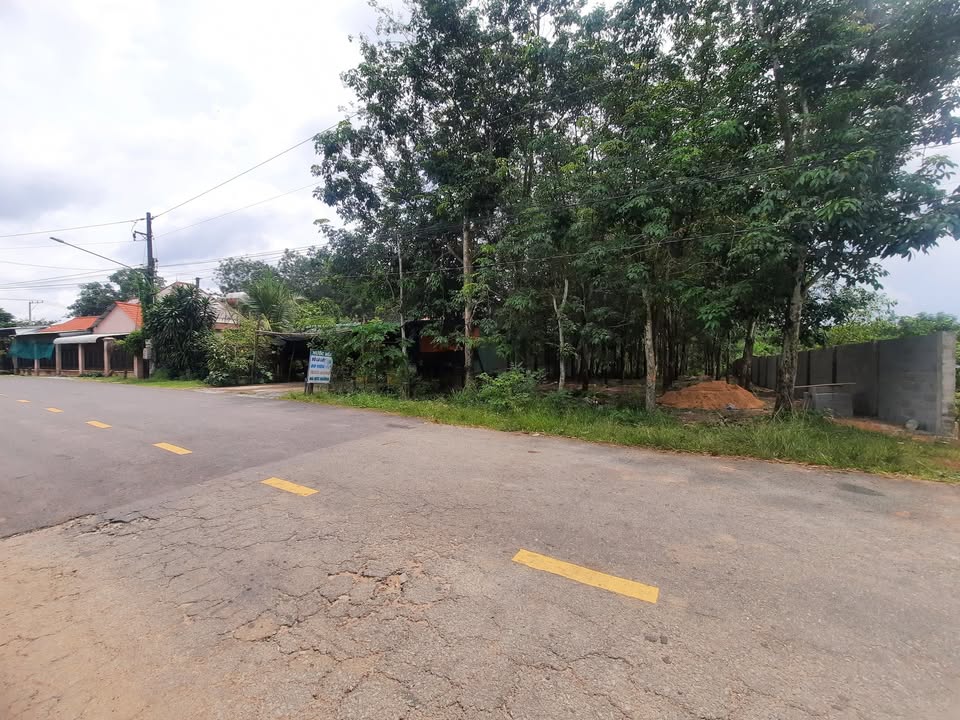 Đất mặt tiền nhựa Long Nguyên 13000m² giá 12.5 tỷ - Phù hợp làm kho xưởng!