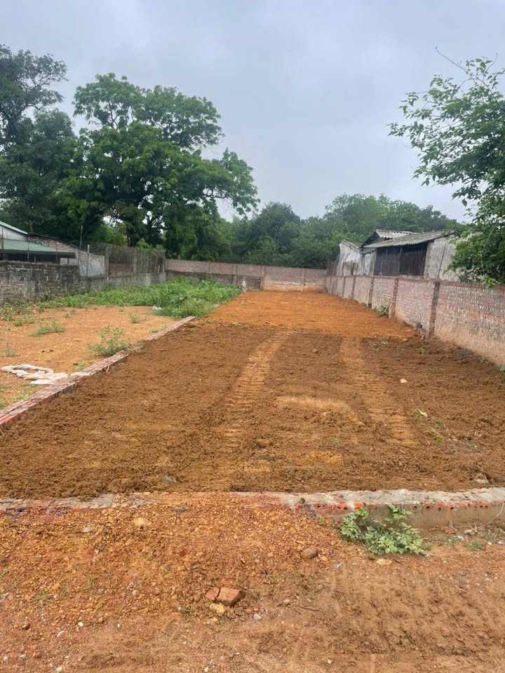 Đất thổ cư Cẩm Lĩnh, Ba Vì 220m² giá chỉ 800 triệu - Đường ô tô vào tận nơi!