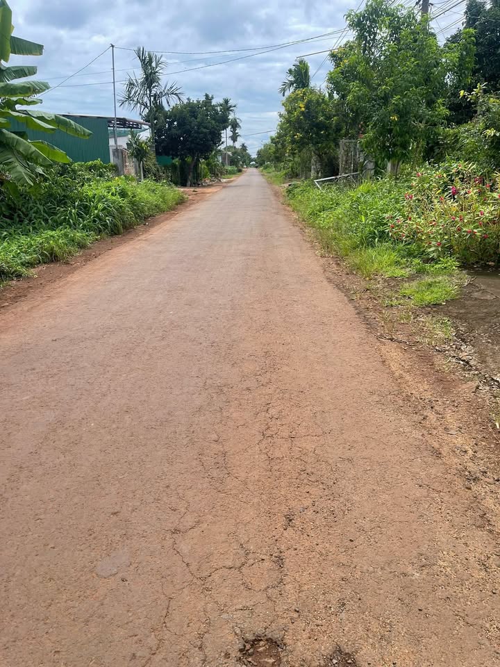 Đất Cư Suê 200m² giá 1.25 tỷ - Đầu tư sinh lời ngay mặt tiền!